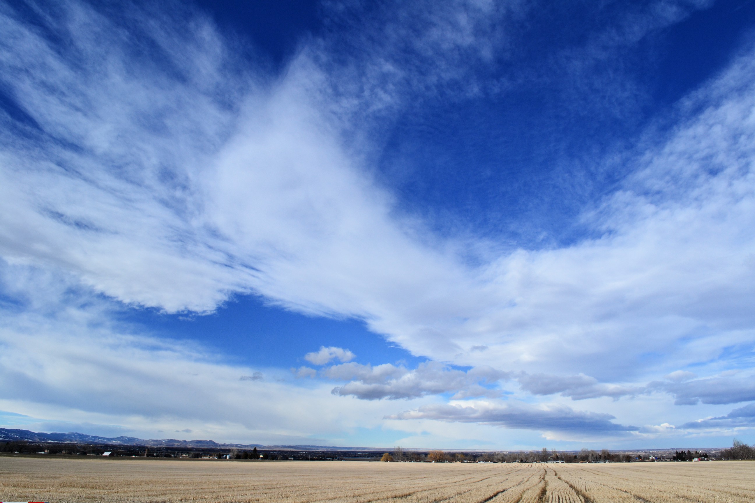 morning-and-afternoon-stratus-clouds-2012-02-21-stratus-colorado