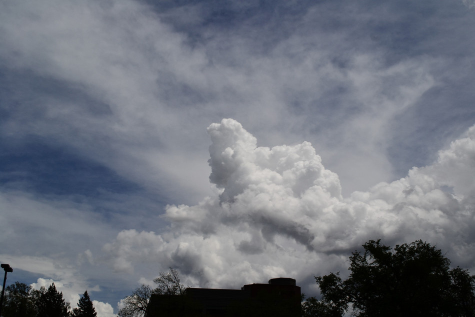 Mid-Afternoon Cumulus 3