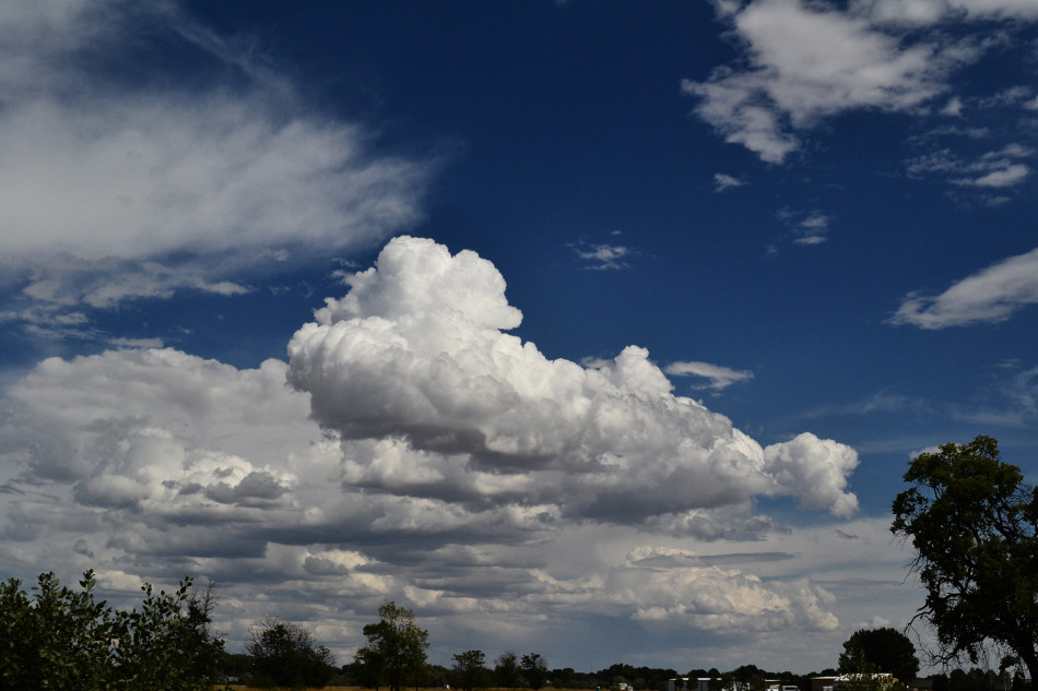 Small Cumulus Cloud